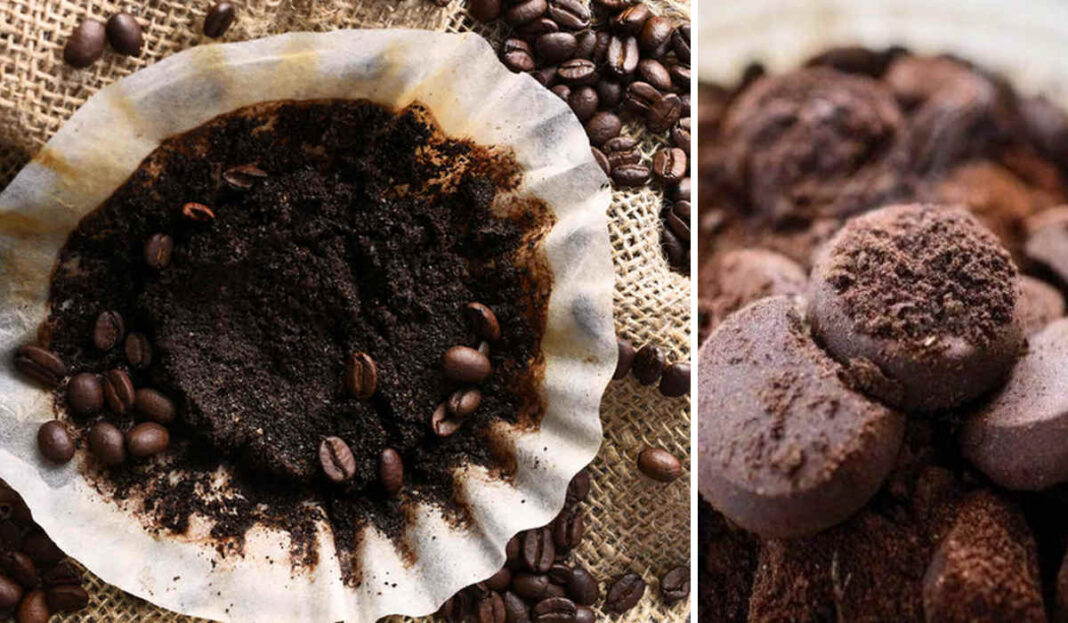 Чому не варто викидати кавову гущу: 10 альтернативних способів її використання