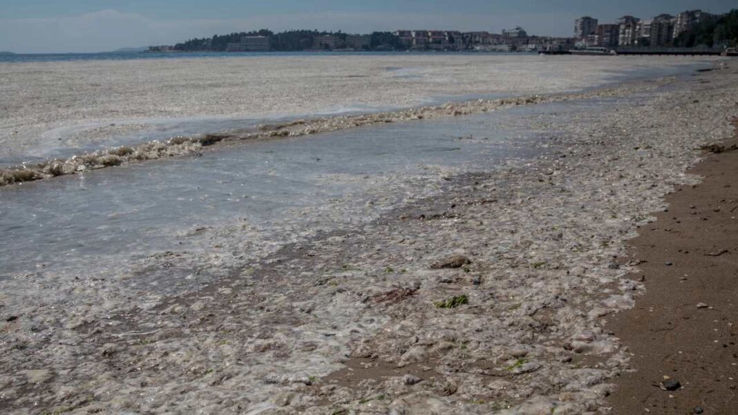 В Туреччині туристам знову не щастить: морський слиз з'явився на березі Мармурового моря у Стамбулі