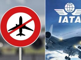 IATA: вперше авіакомпанії світу отримали подвійний удар - настають банкрутства