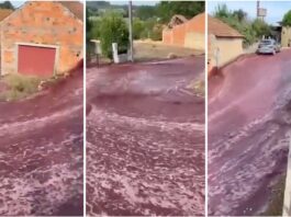 Вулиці португальського міста Анадія затопило вином