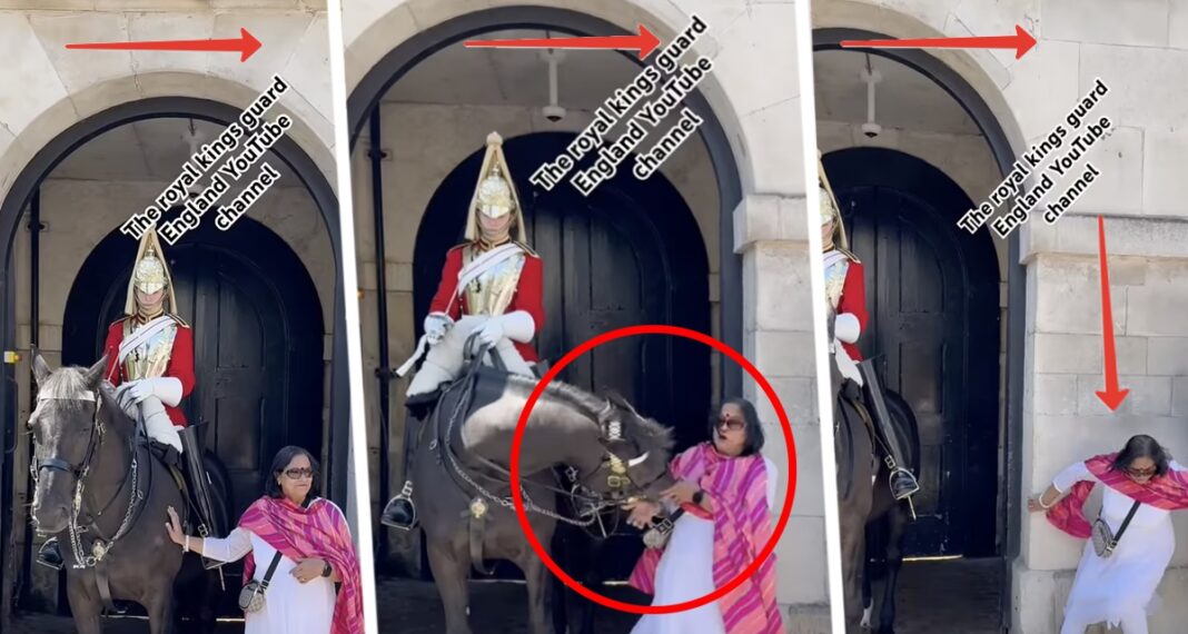 Кінь королівської гвардії вкусив туристку: шокуючий момент потрапив до об'єктиву